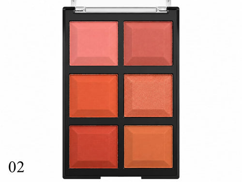 DoDo Girl Professional Makeup Ace Blusher shade 02 product image