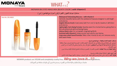 Big Eyes Volumizing & Lengthening Mascara, 13ml -M010