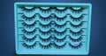 Lashes 1019